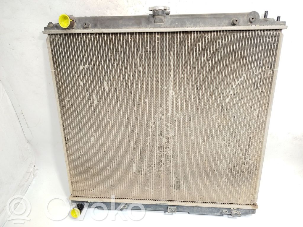 Nissan Pathfinder R51 Radiator lichid răcire 