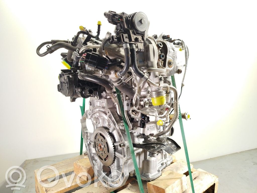 Motor   G3LF