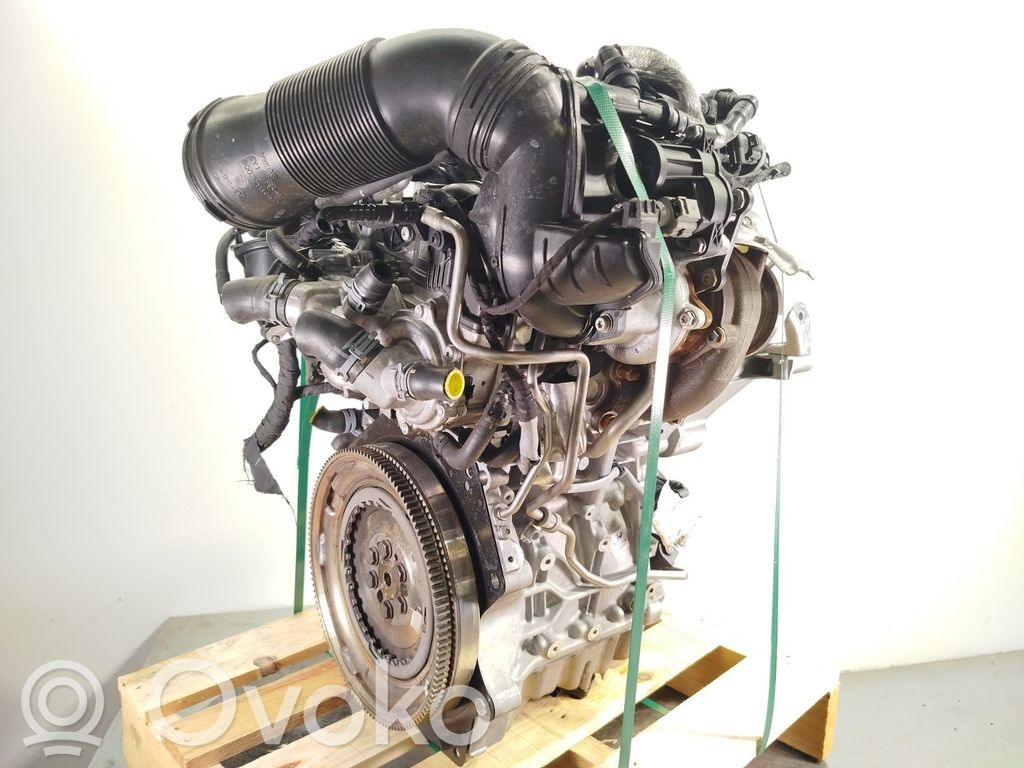 Motor   DLAA