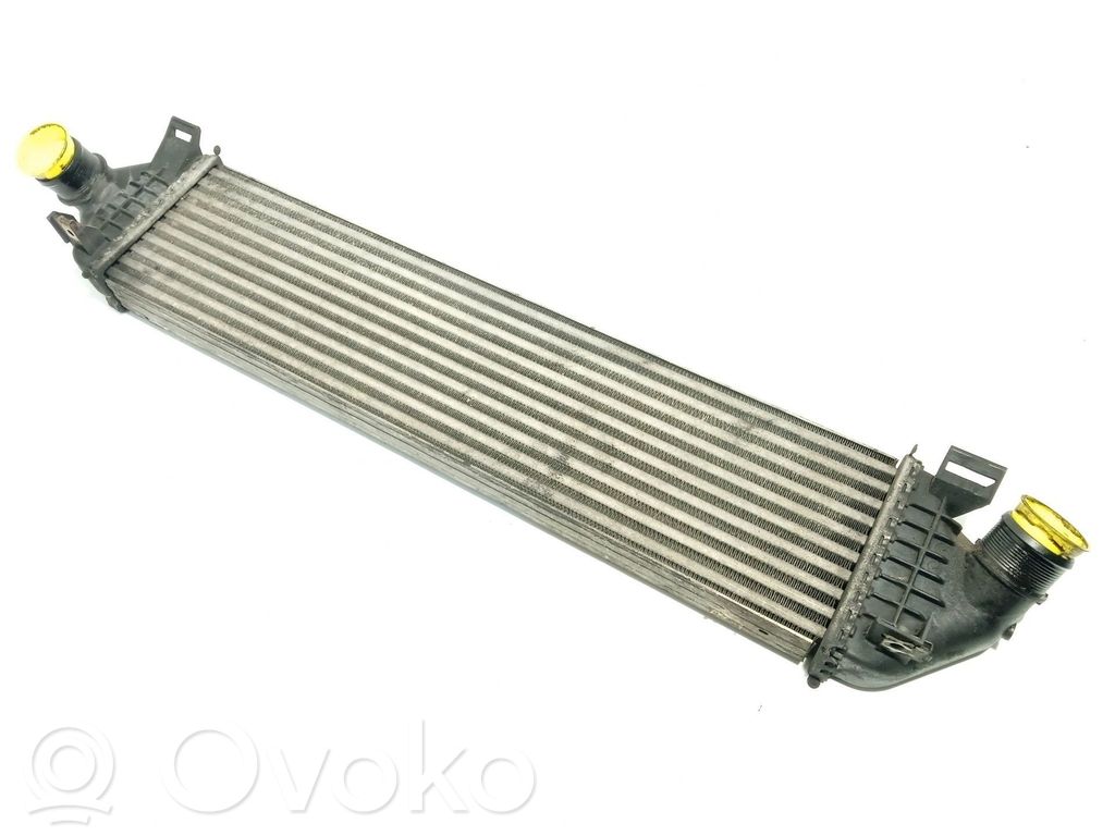 Ford Focus Radiatore intercooler