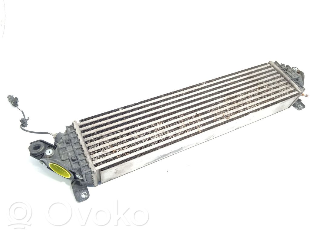 Interkūlerio radiatorius   SH0113565C