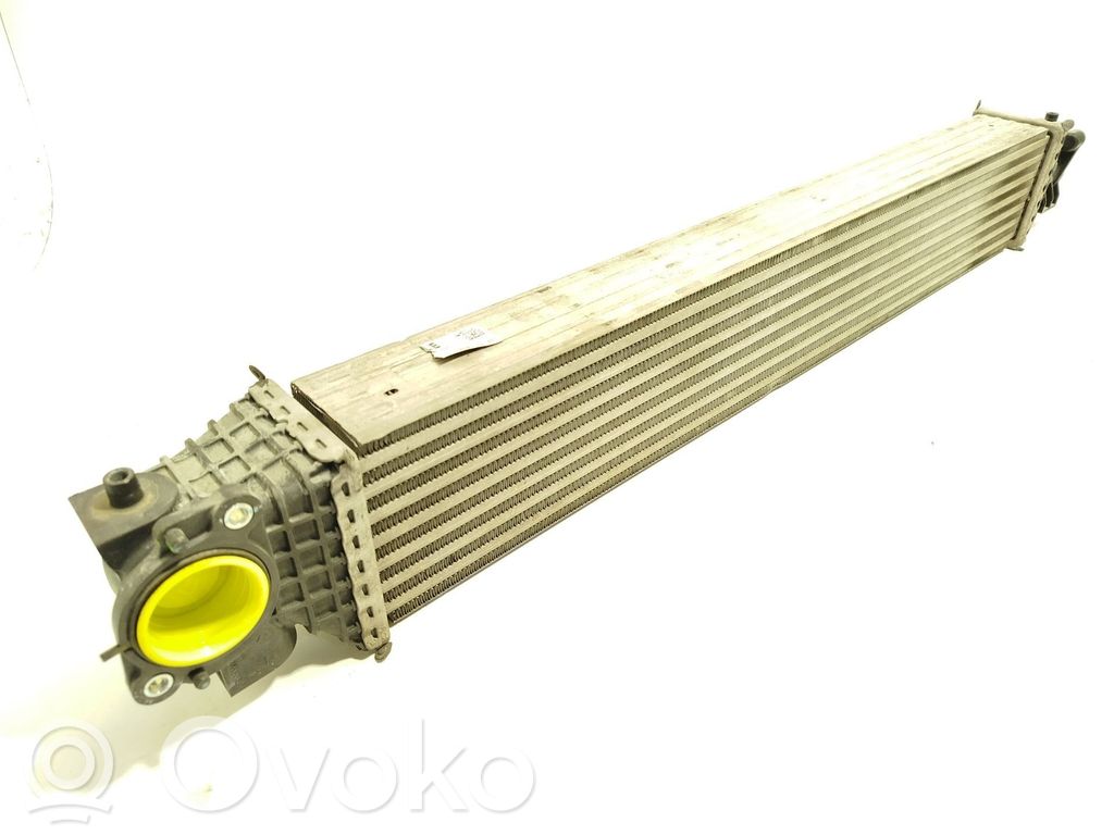 Honda Civic X Radiatore intercooler 