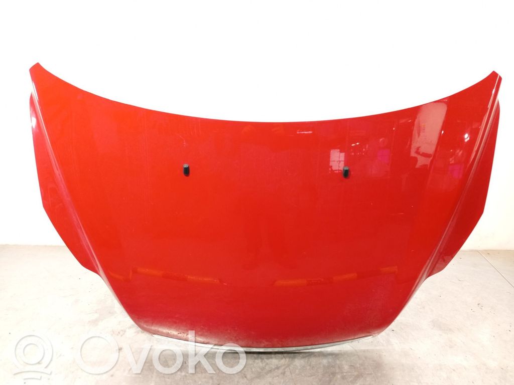 Dzinēja pārsegs (vāks)   1521601,P8M51A16610AE