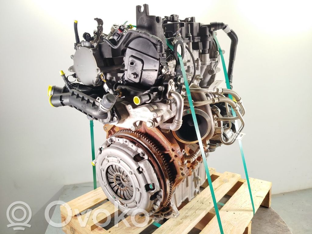 Ford Tourneo Motore 