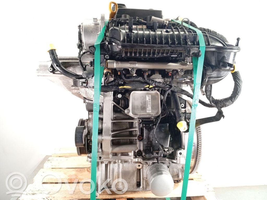Motor   DLAA