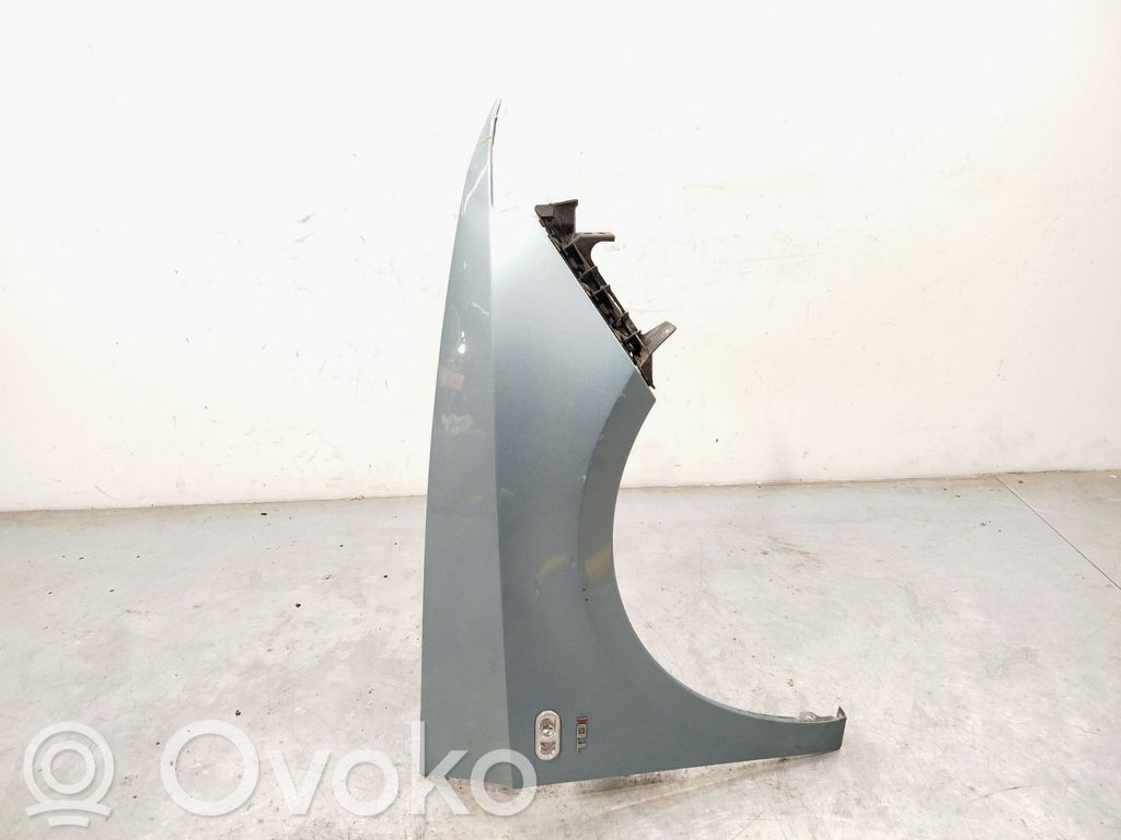 Seat Ibiza III (6L) Lokasuoja 