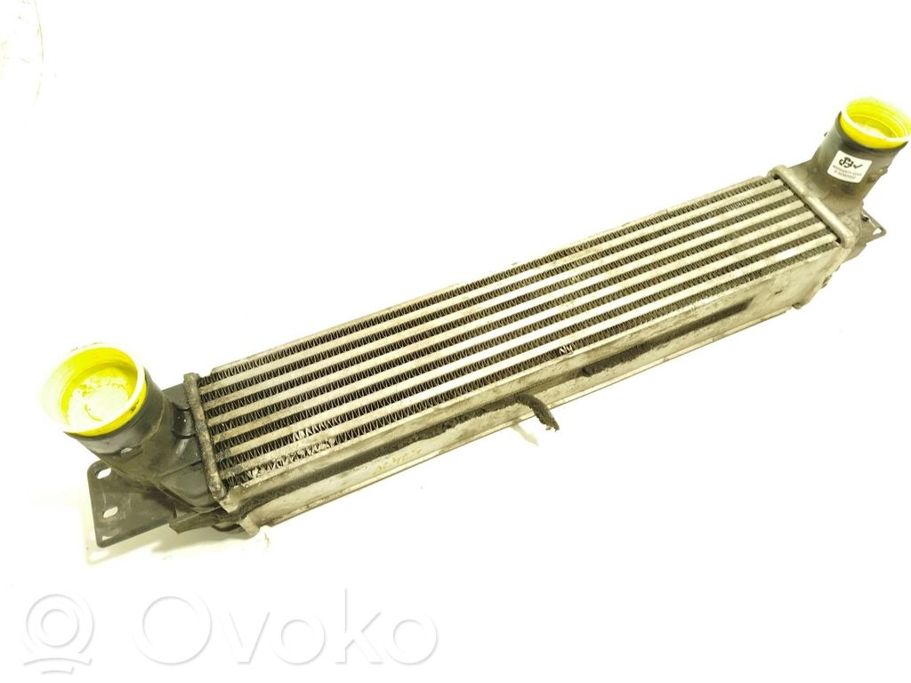 Interkūlerio radiatorius   96629070