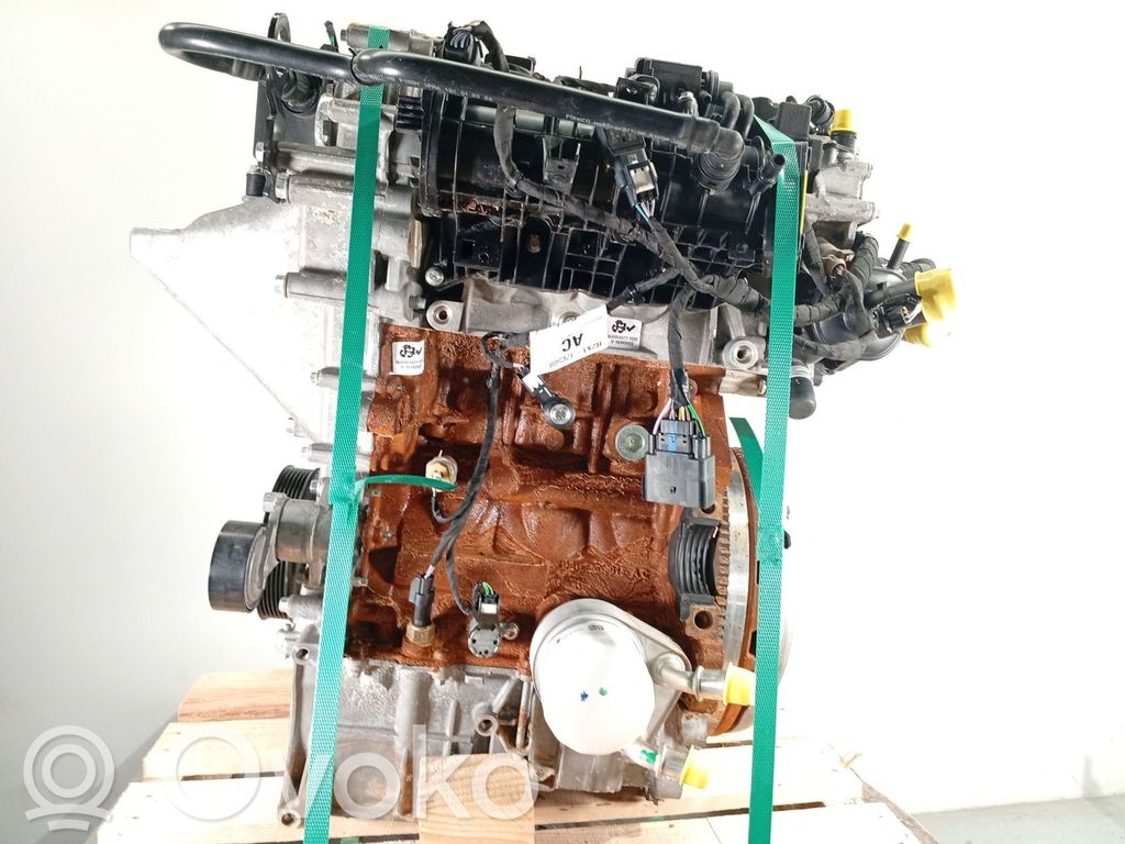Ford Tourneo Motor 