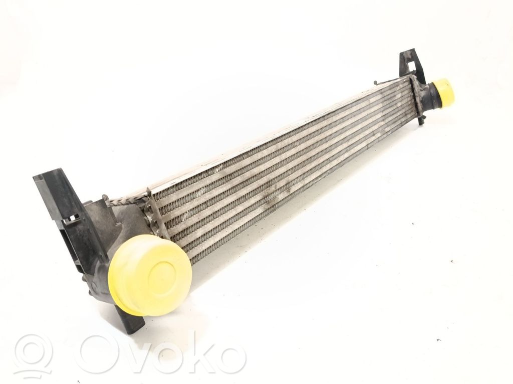 Seat Toledo IV (NH) Radiator intercooler 