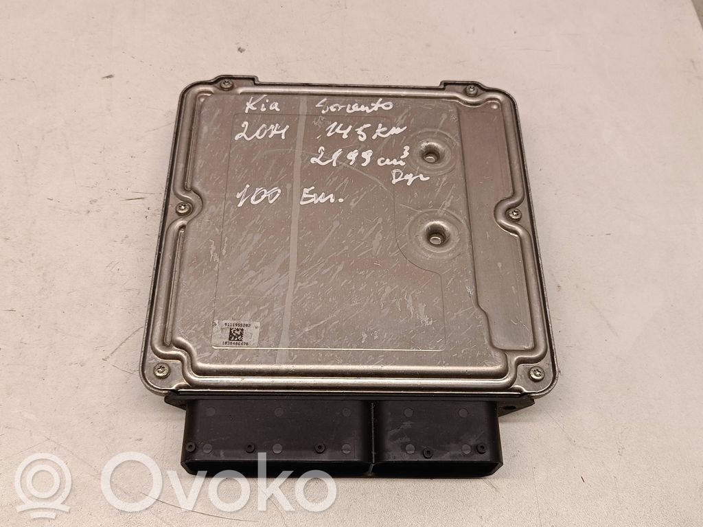 Engine control unit/module   0281019256,391012F800