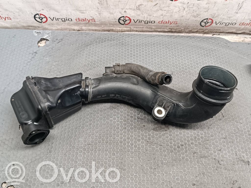 Ansaugdämpfer Resonator   8200858600D