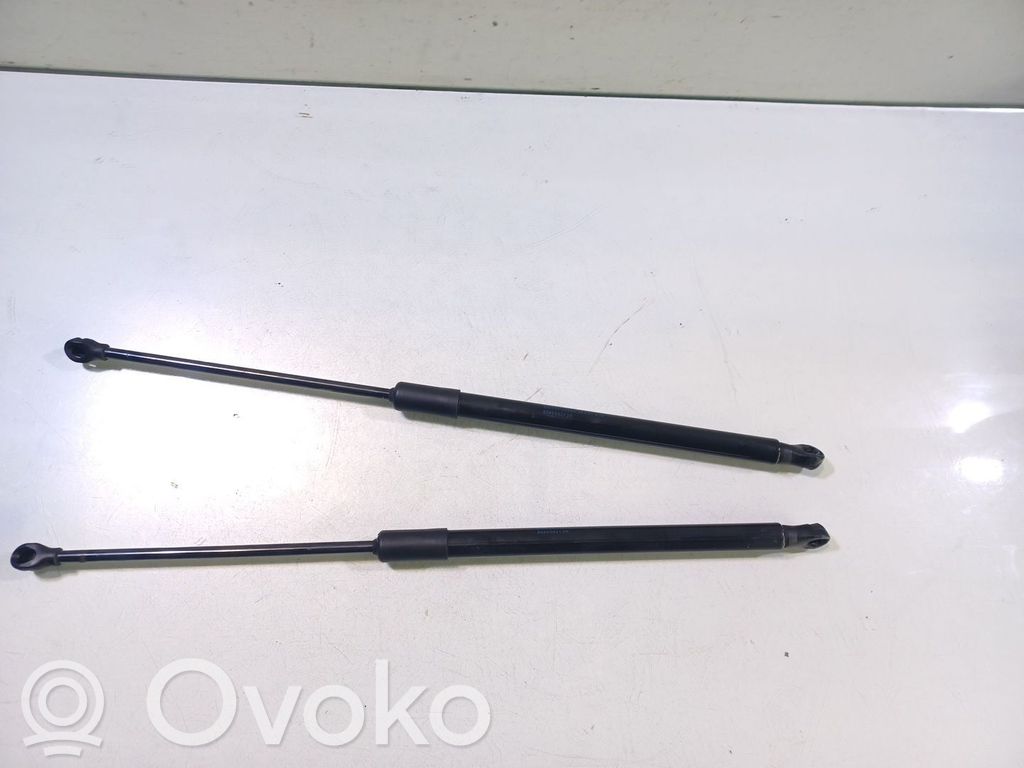 Tailgate/trunk strut/damper   904508213R