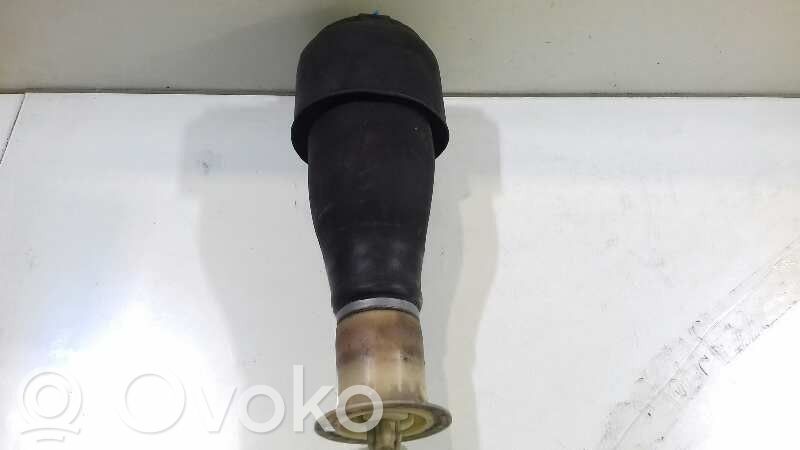Stoßdämpfer hinten   3710678182805