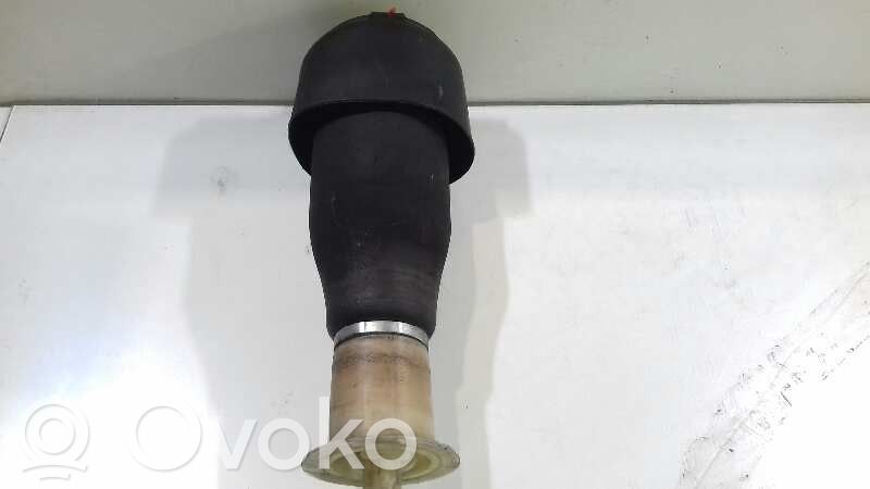 Stoßdämpfer hinten