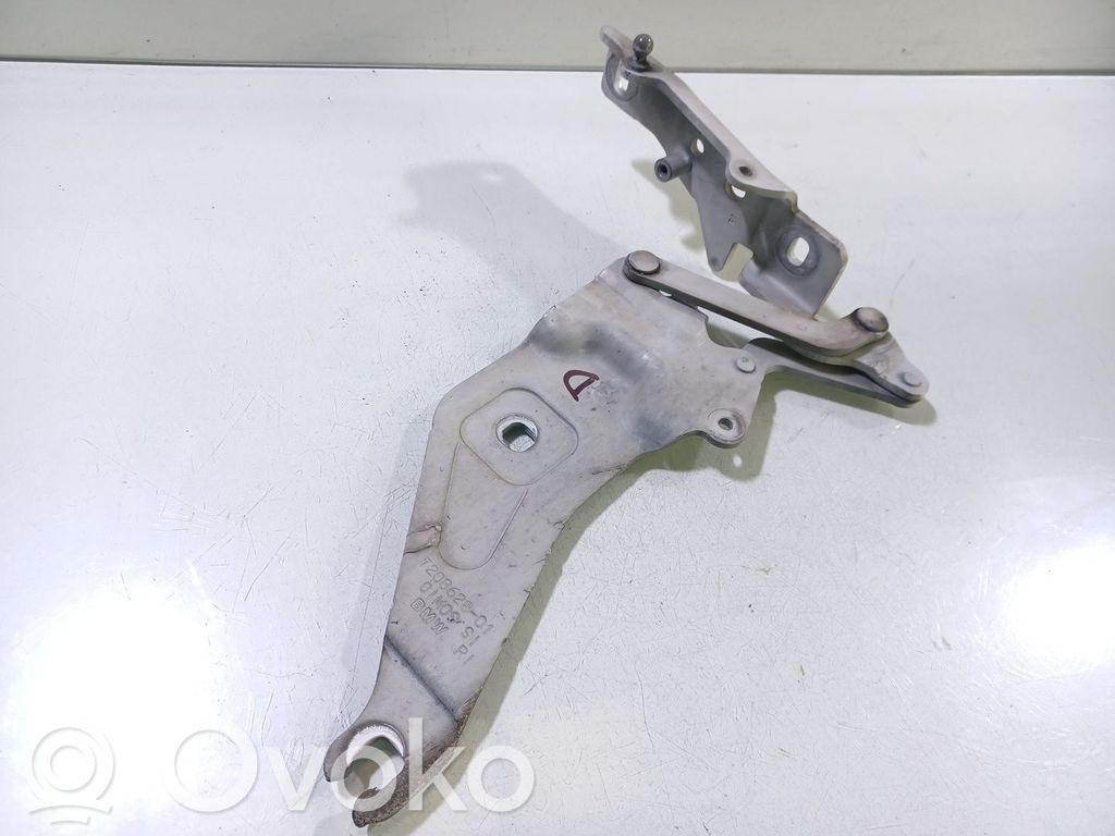 BMW X5 E70 Cerniere del vano motore/cofano 