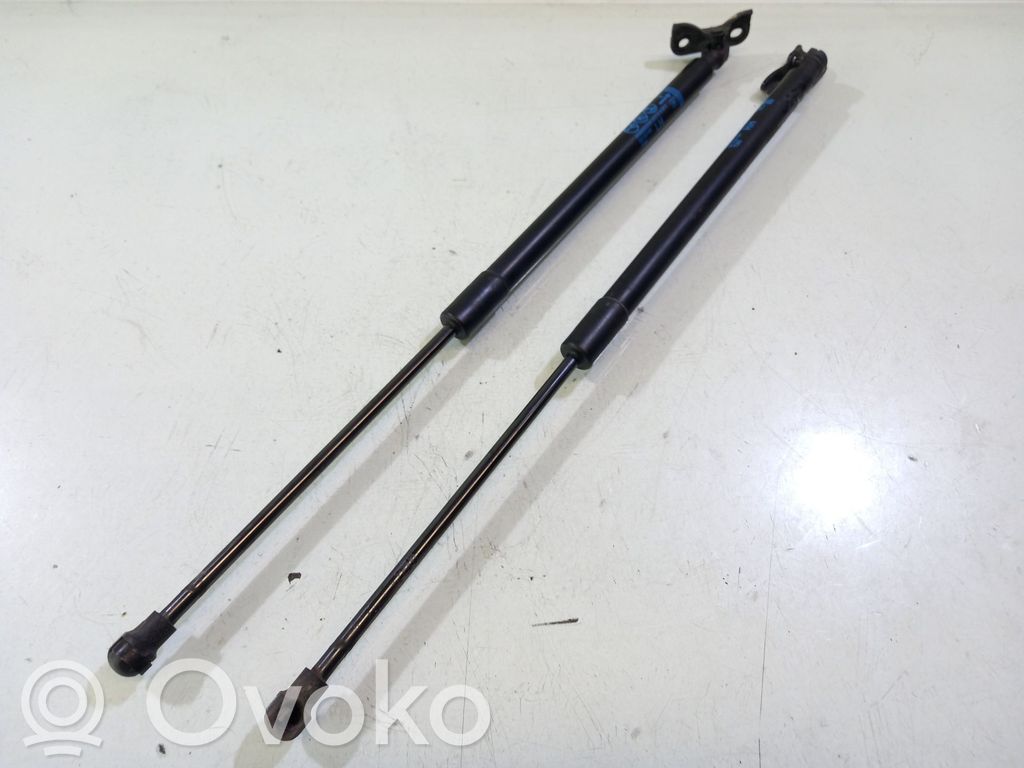 Chevrolet Aveo Tailgate/trunk strut/damper 
