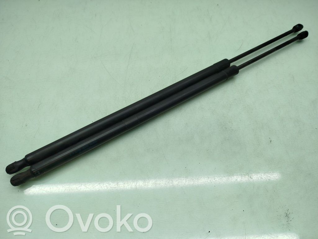 Tailgate/trunk strut/damper   CV44S406A11AB,070510