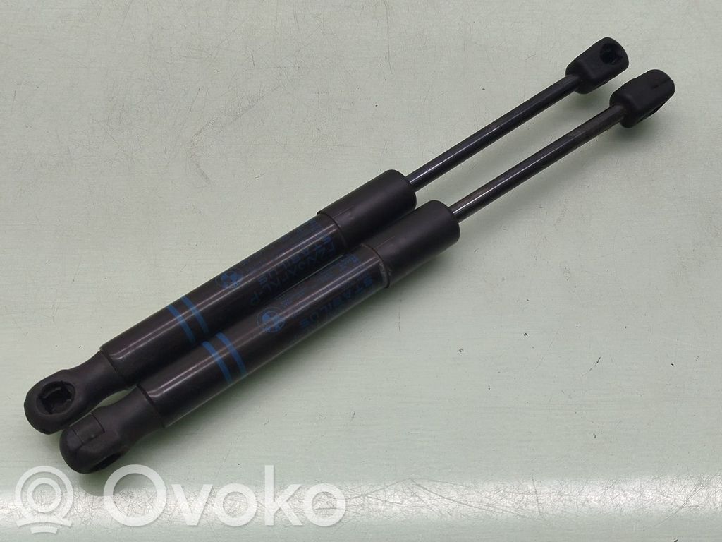 BMW 1 F20 F21 Amortizor capotă motor 