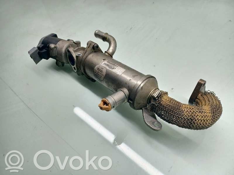 Land Rover Range Rover Sport L320 Supapă EGR 