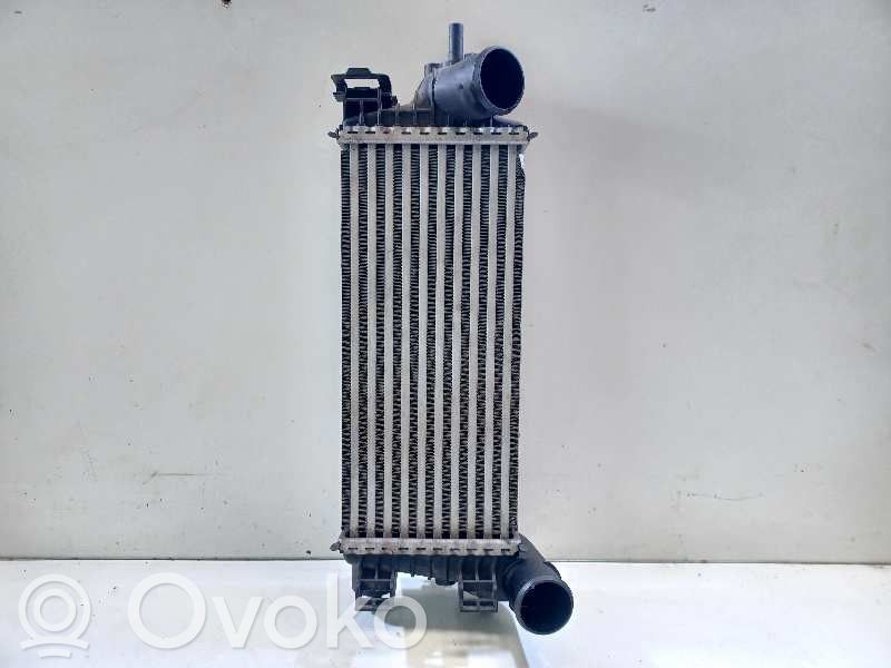 Intercooler radiator   2026747,CV619L440VC,X1436001