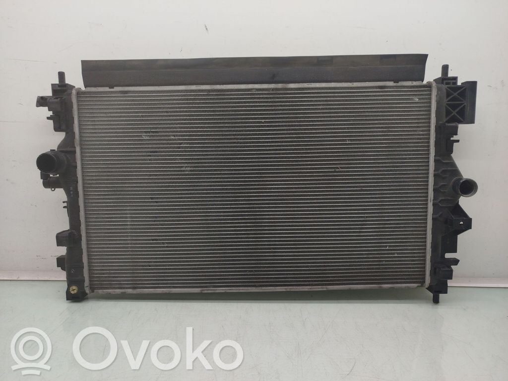 Radiatore di raffreddamento   13393983