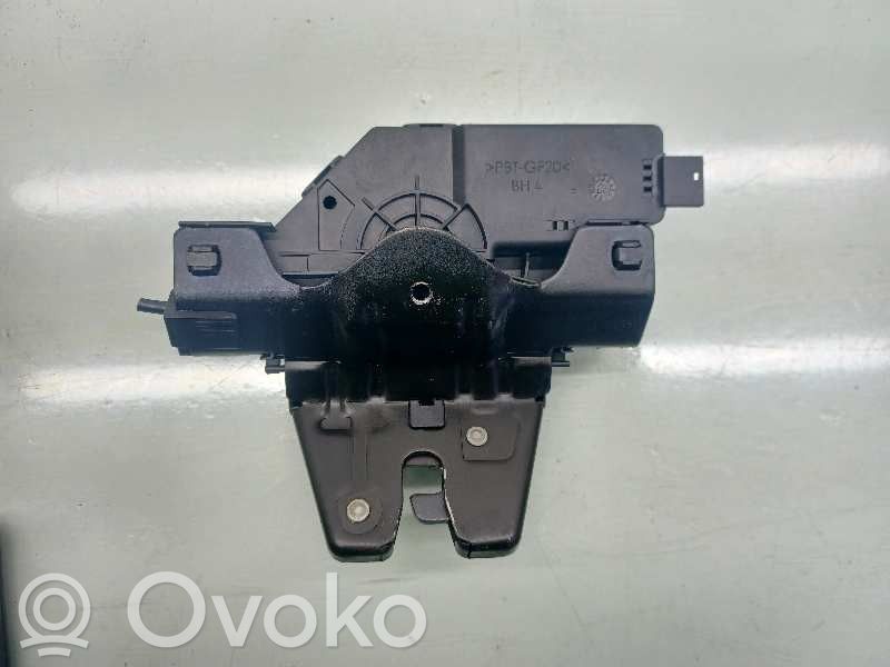 Tailgate lock latch   51247840617