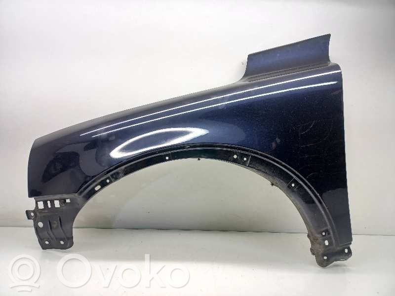 Guardabarro   30796494
