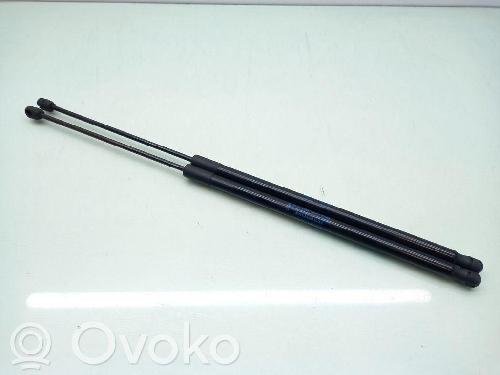 Tailgate/trunk strut/damper   AM51R406A10AB