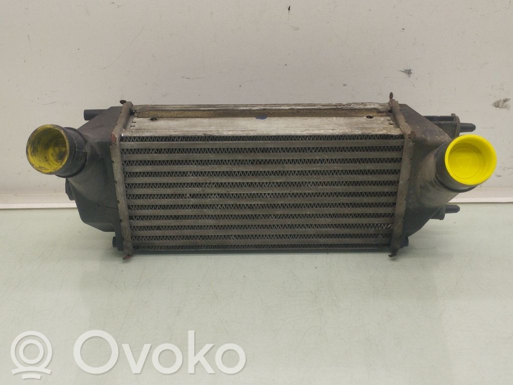 Ford Tourneo Interkūlerio radiatorius 
