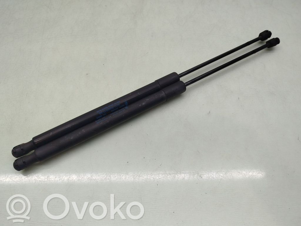 Ford B-MAX Tailgate/trunk strut/damper 