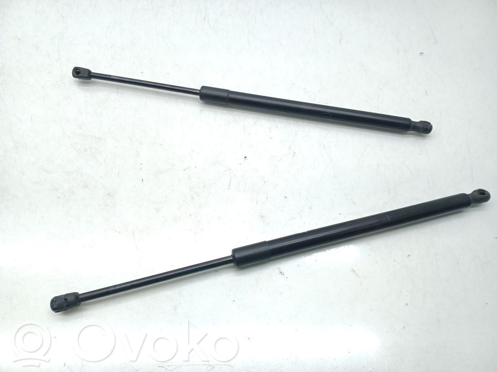 Land Rover Discovery 5 Ammortizzatore portellone posteriore/bagagliaio 