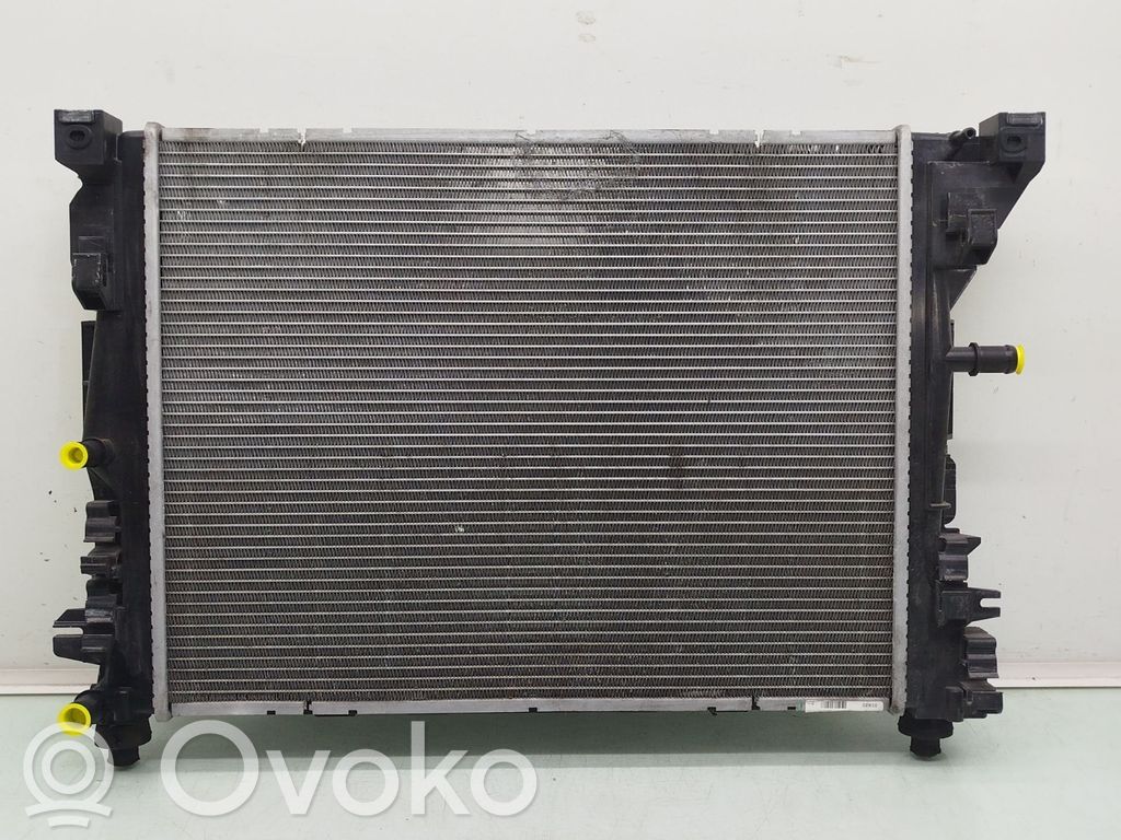 Renault Zoe Wasserkühler 