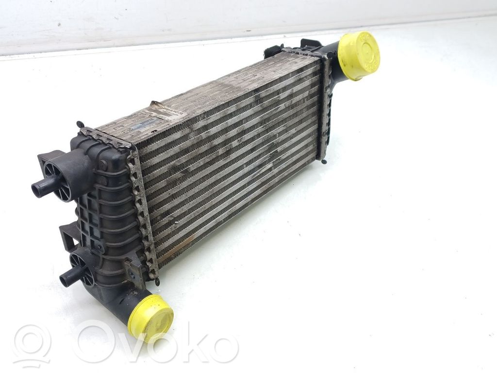 Radiador intercooler   BV619L440CG,Y248806