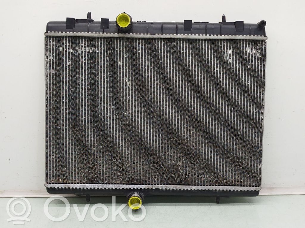 Chłodnica   9800482380,M160901C,RA2204