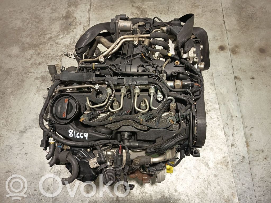Motor   CJC