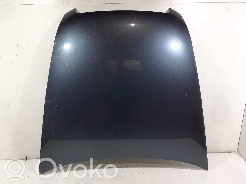 Capó/tapa del motor   4F0823029F