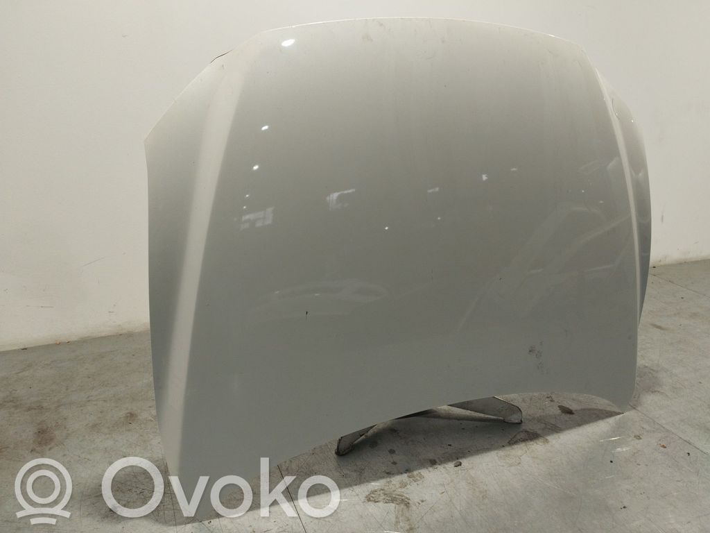 Motorhaube
