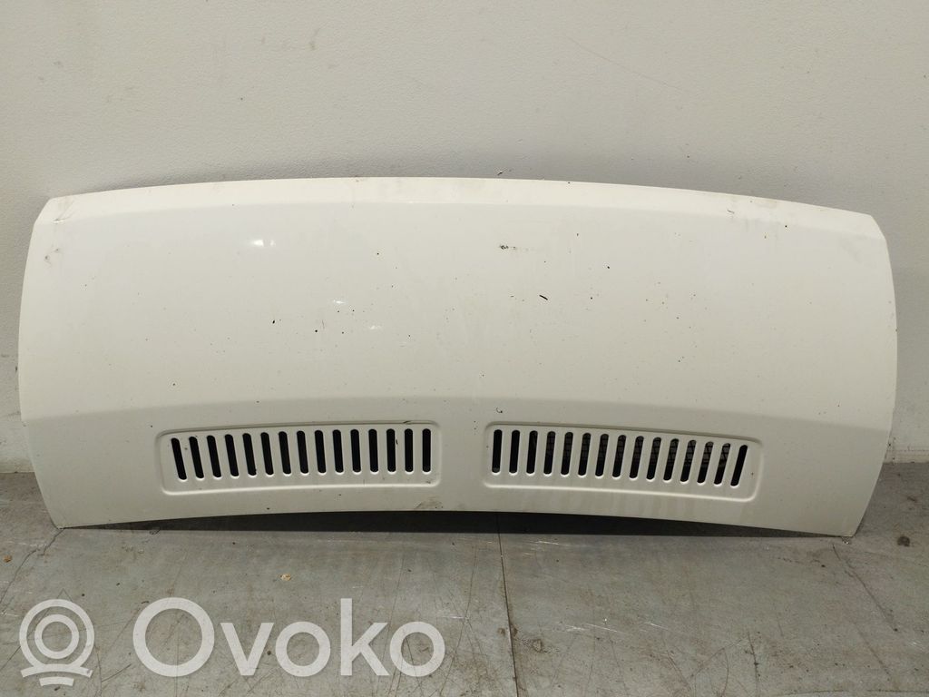 Motorhaube   7901N8