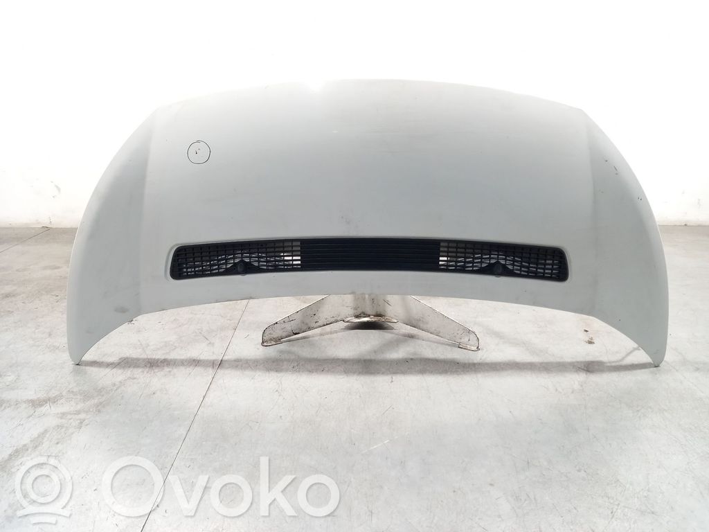 Motorhaube   1608371780,7901N1