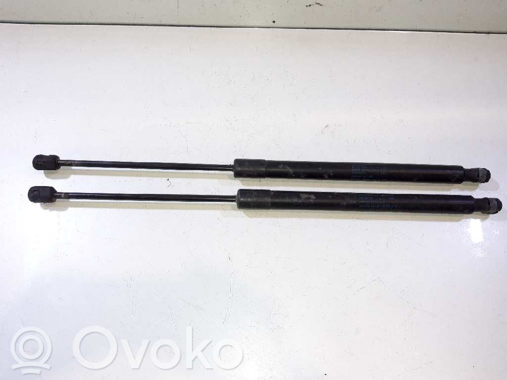 Volkswagen Tiguan Amortizor hayon 