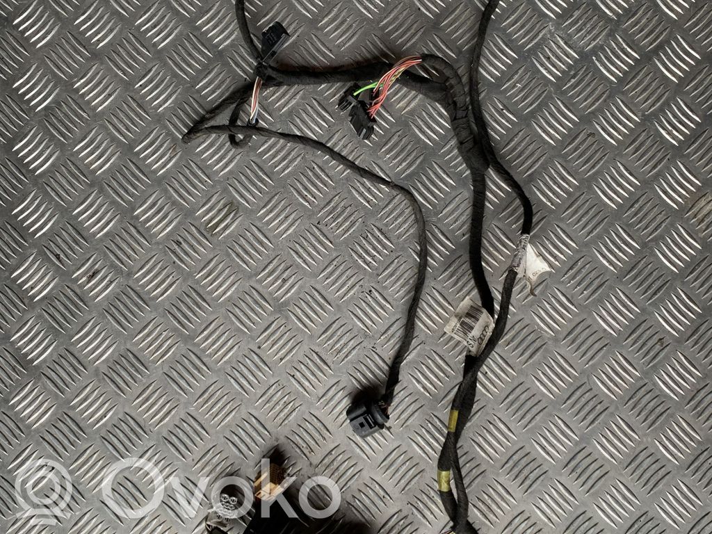 Audi A6 Allroad C5 Cableado de puerta delantera 