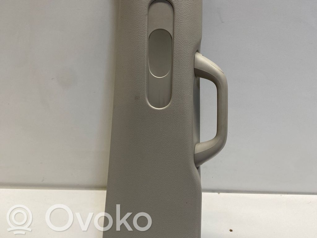 Chrysler Pacifica (C) pillar trim 
