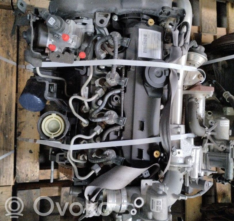 Variklis   K9K612,D213910