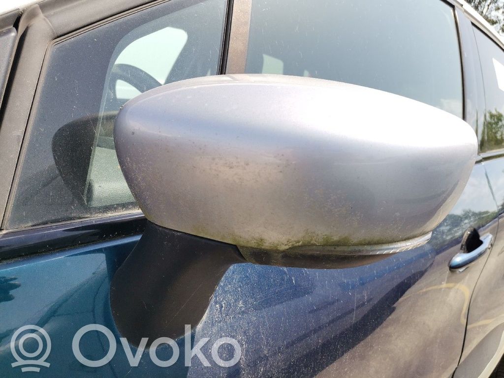 Veidrodėlis (elektra valdomas)   963024221R,9PINOSSMR