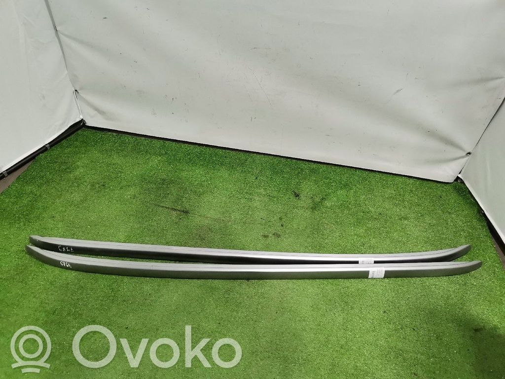 Asidero interior trasero   738205835R,738214852R