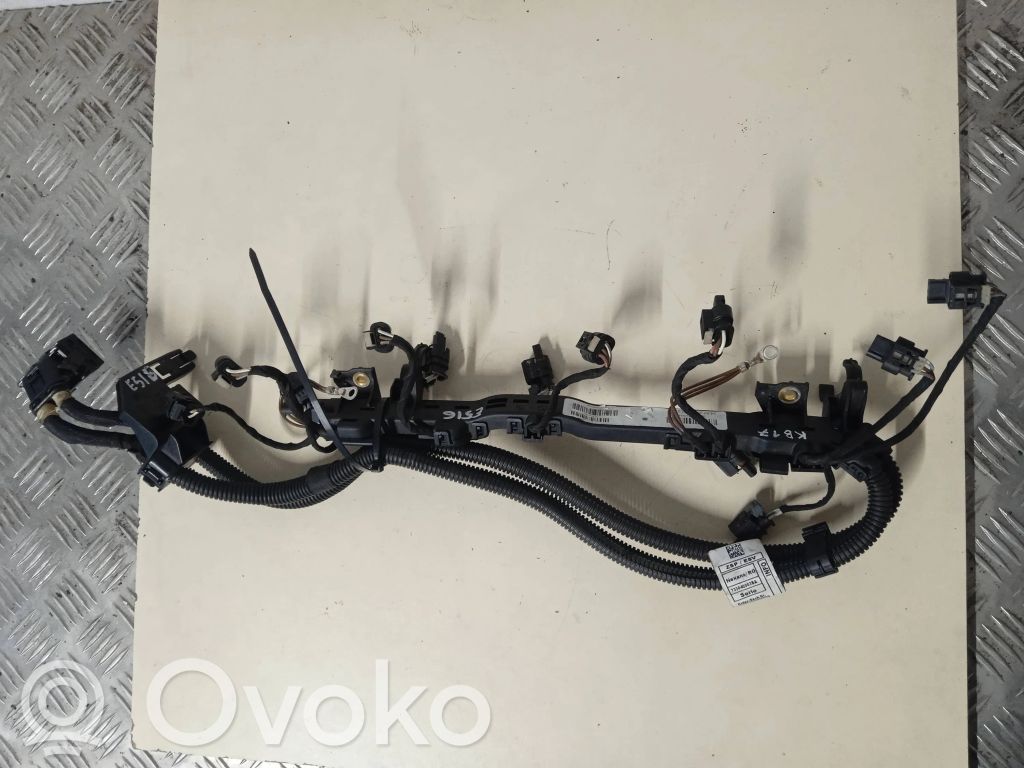 BMW 2 F22 F23 Fuel injector wires 
