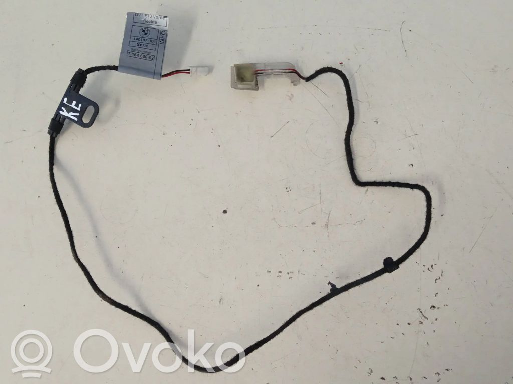 BMW X5 E70 Priekšējo durvju roktura apgaismojums (ārpusē) 
