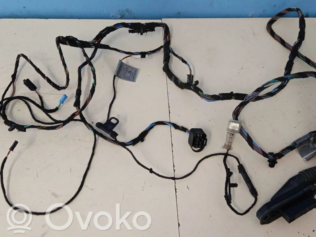 BMW X5 E70 Rear door wiring loom 