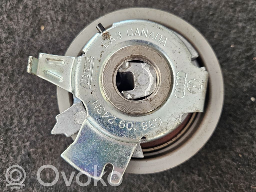 Volkswagen PASSAT B5 Napinacz paska alternatora 