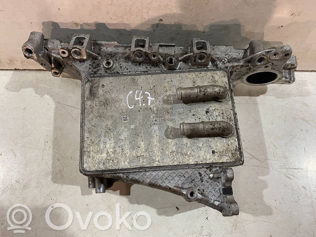 Volkswagen Golf VII Kolektorius įsiurbimo 